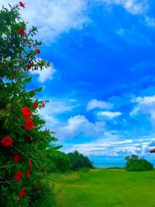 Eco Village Iriomote - 63