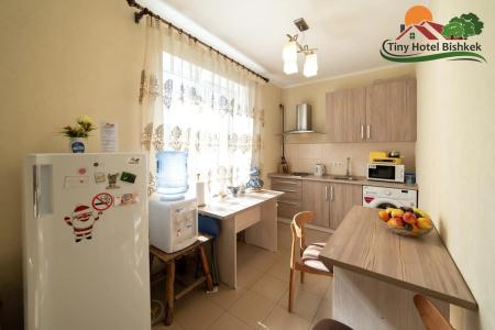 Tiny Bishkek - 9