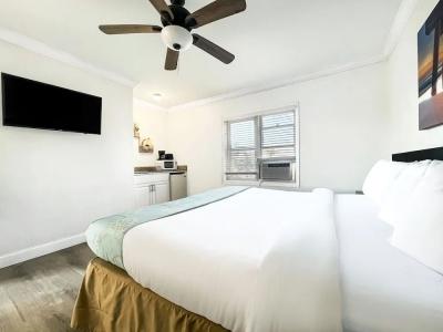 The Palms - 11