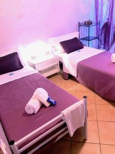 b&b Vicolo 22 - 15
