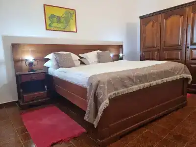 Palata Venezia - 59