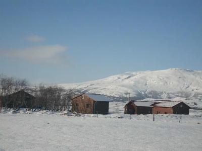 Geysir Hestar - 6