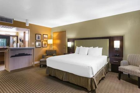 Best Western Royal Sun Inn & Suites - 82