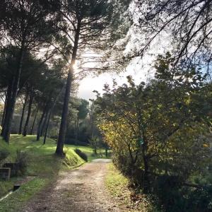 Toscana Village - 47