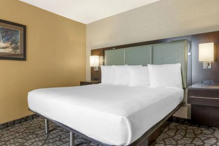 Best Western Plus Palms - 61