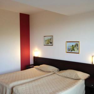 Flamingo - All Inclusive light - 32