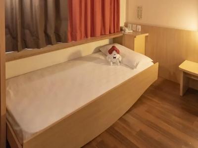 ibis Sao Paulo Barra Funda - 96