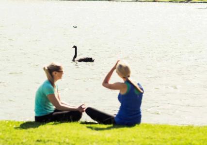 Pullman Albert Park - 31