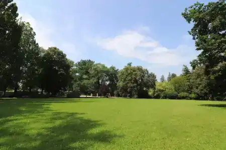 Ck Park - 11