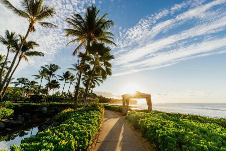 Grand Hyatt Kauai & Spa - 21