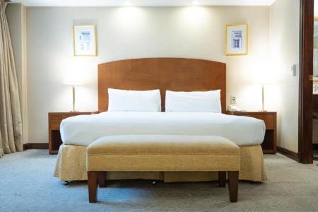 Melia Buenos Aires - 130