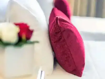 Mercure Plaza Biarritz Centre - 54