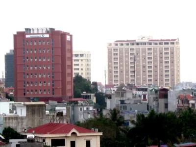 Sen Hai Phong - 9