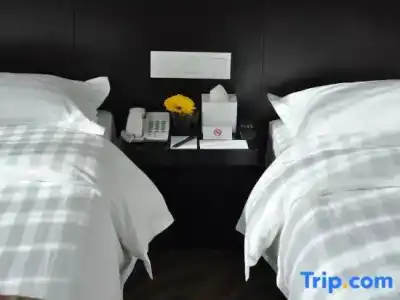 Dreamtel - 45