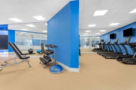 Wyndham Orlando Resort & Conference Center, Celebration Area - 25