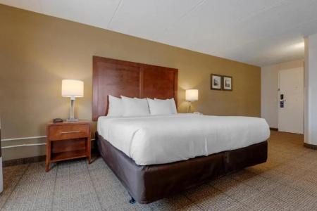 Comfort Inn The Pointe - 40