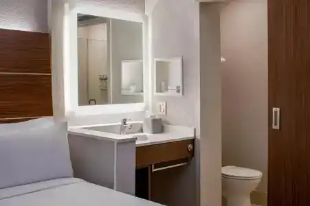 Holiday Inn Express New Orleans Downtown, An Ihg - 48