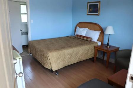 Falcon Inn - 56