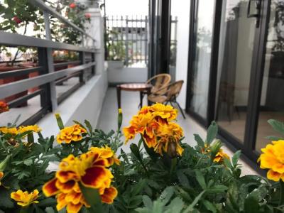 Elysinam Boutique Ha Long - 7