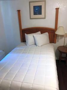 Extended Stay Studios - 13