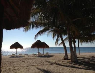 PavoReal Beach - 20
