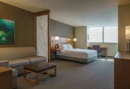 Hyatt Place Houston Galleria - 1