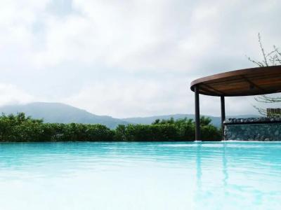 Boribot Pool - 43