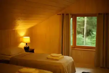 Kivi Talu Country - 1