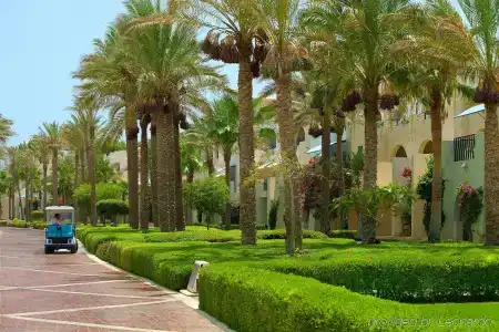 Grand Rotana Resort & Spa - 24