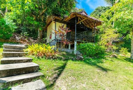 Shiralea Island Resort - 77