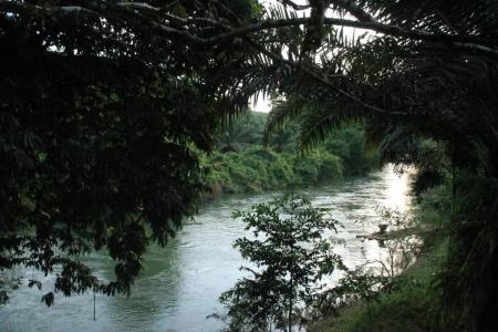 Khaosok River Camp - 47