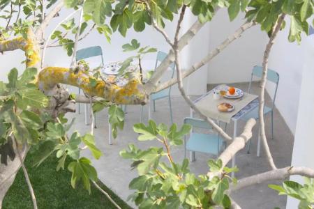 Intorno Al Fico - 107