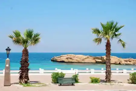 Delphin Resort Monastir - 16