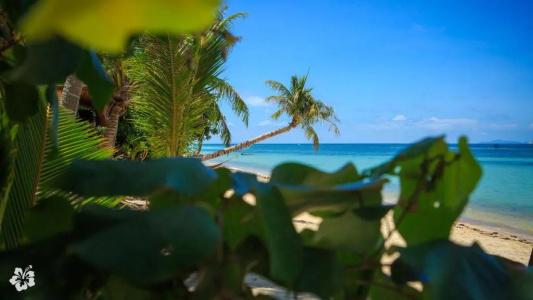 Seaflower Bungalows - 12