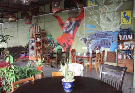 Birdnest Guesthouse, Gaia Rooftop Cafe - 17