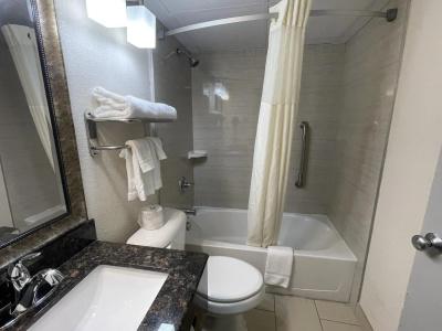 Quality Inn & Suites Downtown - 8