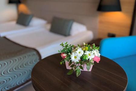Astera & Spa - 30