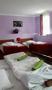 Нино Хетагури - 2