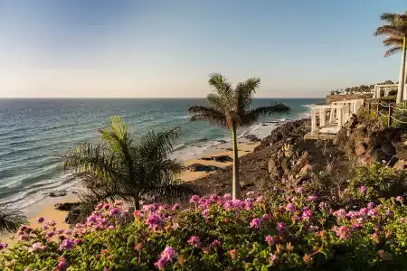 Royal Palm & Spa - Adults Only - 16