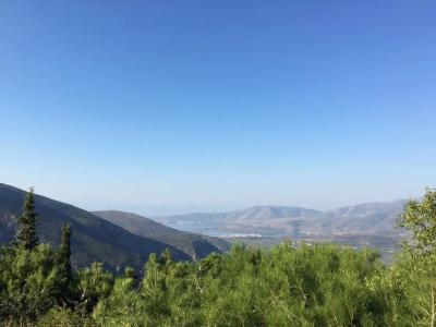 Delphi Palace - 7