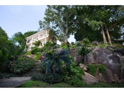 The Green Plaza - 16