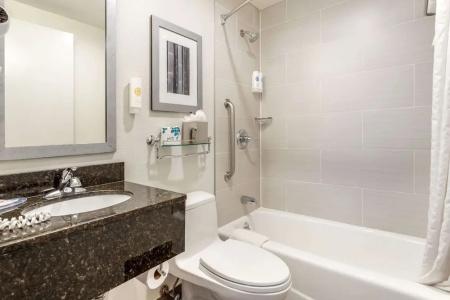 Comfort Inn Manhattan - Midtown West - 46