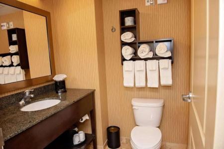 Hampton Inn & Suites - 43