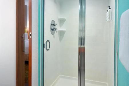 SpringHill Suites by Marriott Orlando at SeaWorld - 54