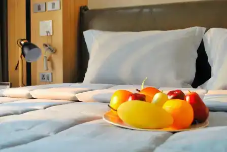 Wellness Chiang Mai - 1