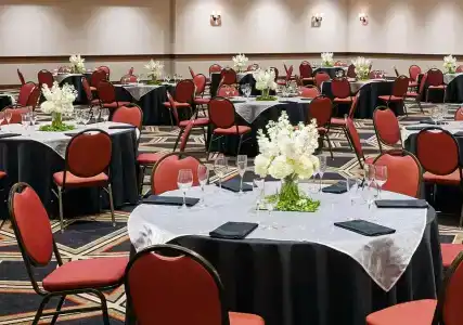 Four Points by Sheraton & Conference Center - 23