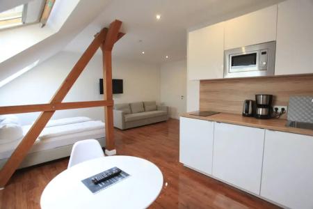 Zollikof Aparts - Sauna & Studio - 20