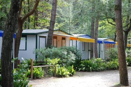 Holiday Center Valdor - 52