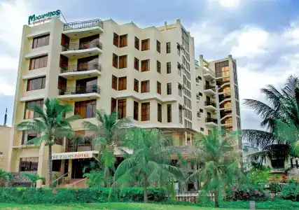 The Palm - 20