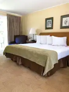 Lyn Aire - - 20